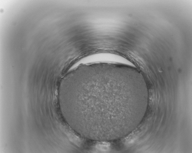 X0000088430369200705291531