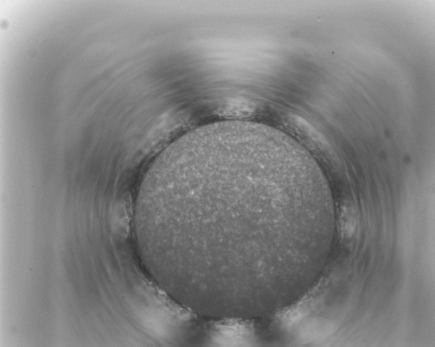 X0000088430370200705291531