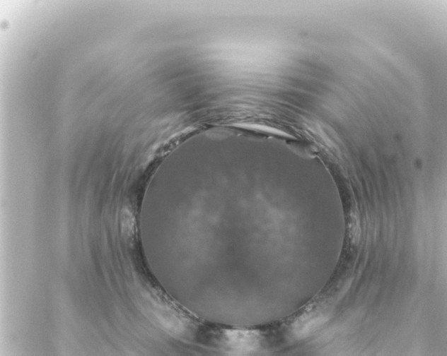 X0000088430371200705291531