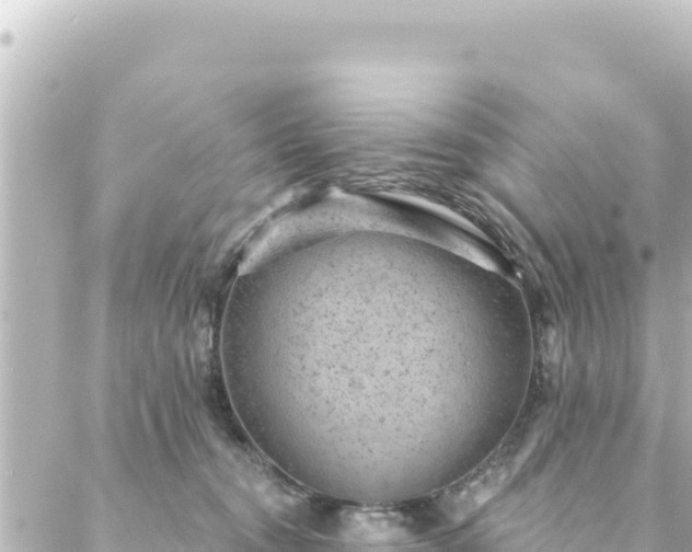 X0000088430372200705291531