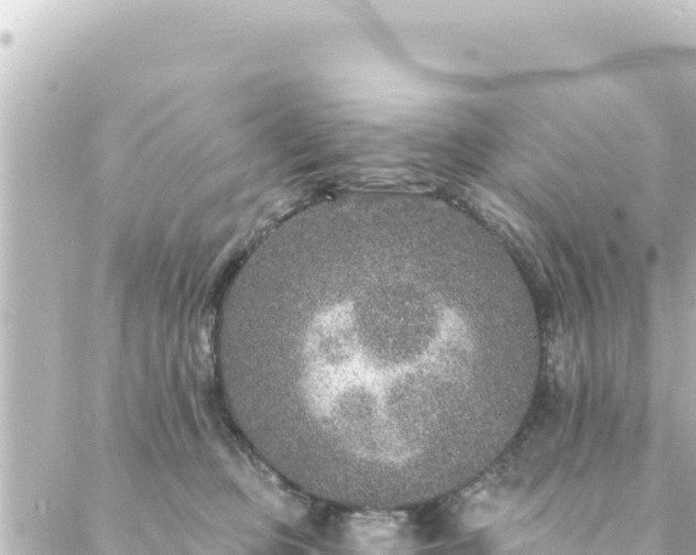 X0000088430373200705291531