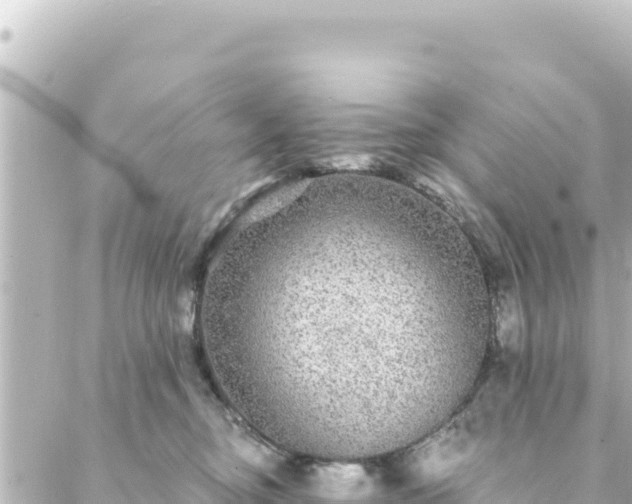 X0000088430374200705291531