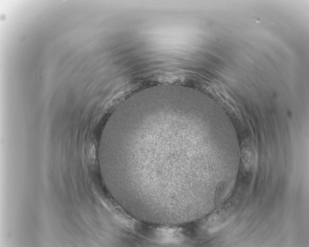 X0000088430375200705291531