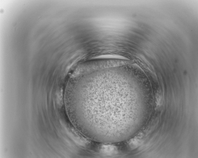 X0000088430376200705291531