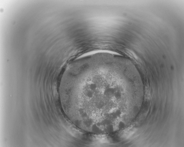 X0000088430377200705291531