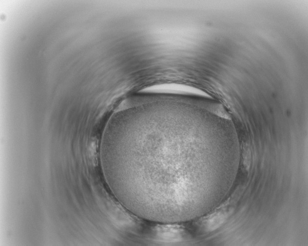 X0000088430378200705291531