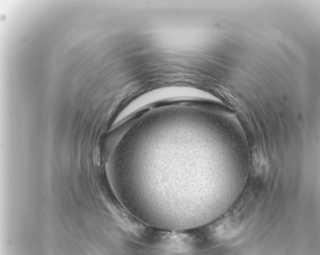 X0000088430379200705291531