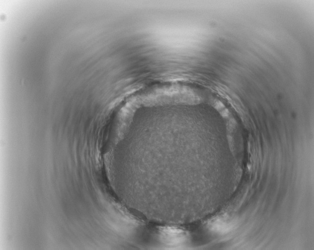 X0000088430380200705291531