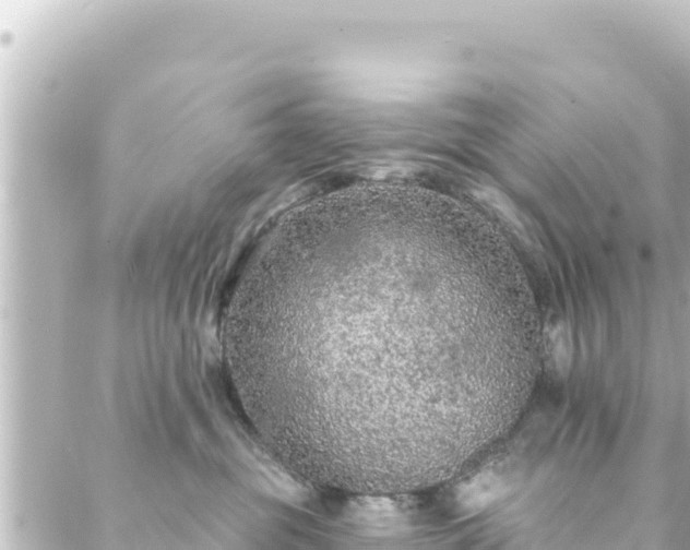 X0000088430381200705291531