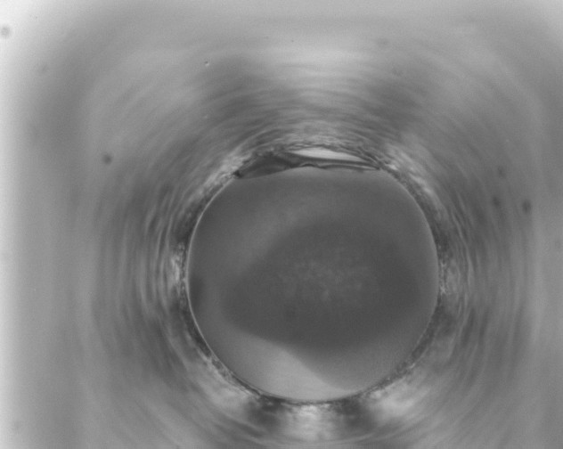 X0000088430382200705291531