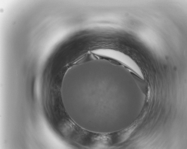 X0000088430383200705291531