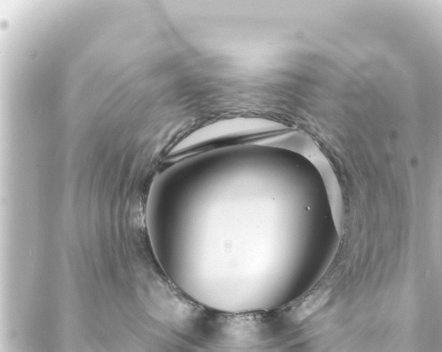 X0000088430384200705291531