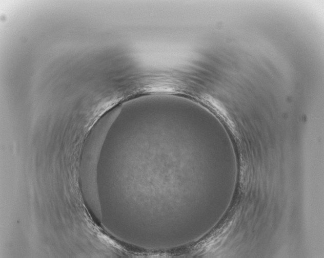 X0000088430385200705291530