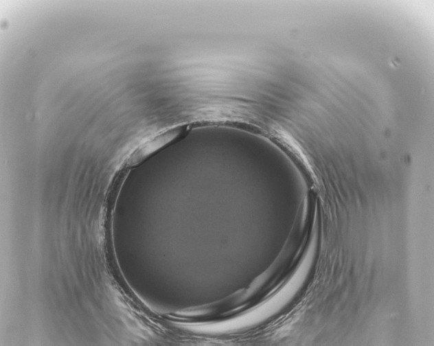 X0000088430387200705291530