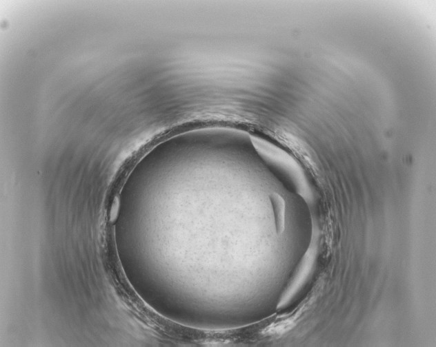 X0000088430388200705291530