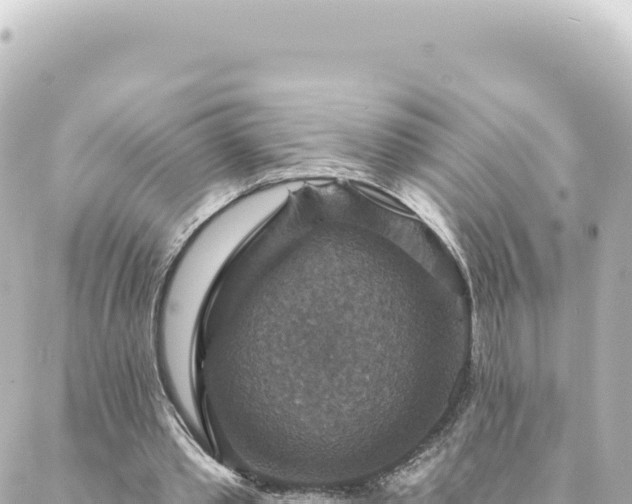 X0000088430389200705291530