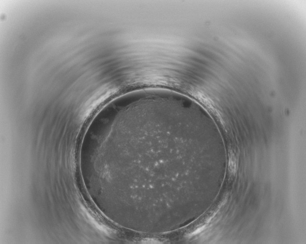 X0000088430390200705291530