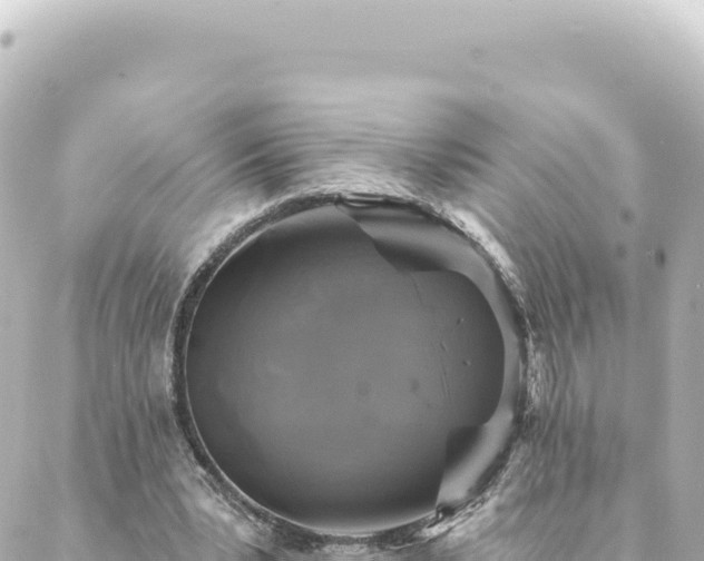 X0000088430391200705291530