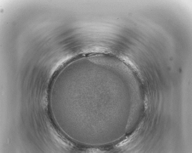 X0000088430392200705291530