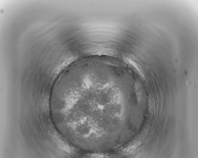 X0000088430394200705291530