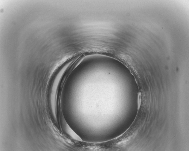 X0000088430395200705291530