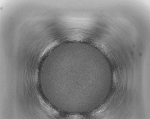 X0000088430396200705291530