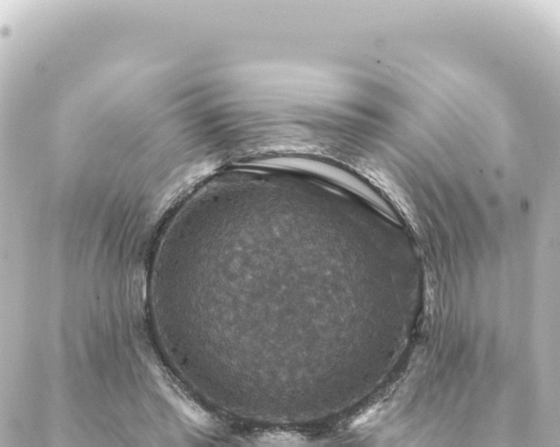 X0000088430397200705291530