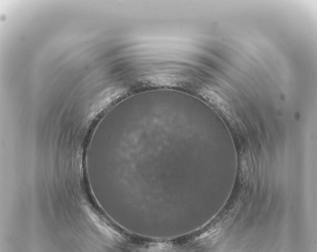 X0000088430398200705291530