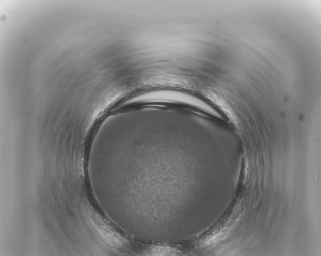 X0000088430399200705291530