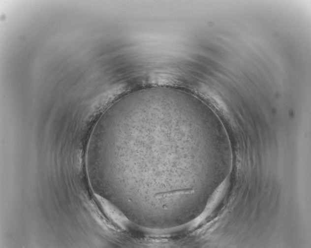 X0000088430401200705291530