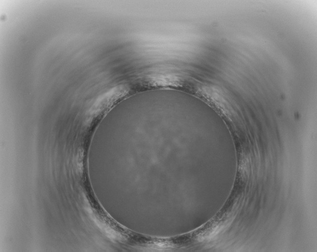 X0000088430402200705291530