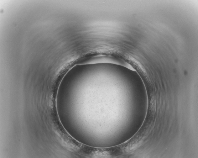 X0000088430403200705291530