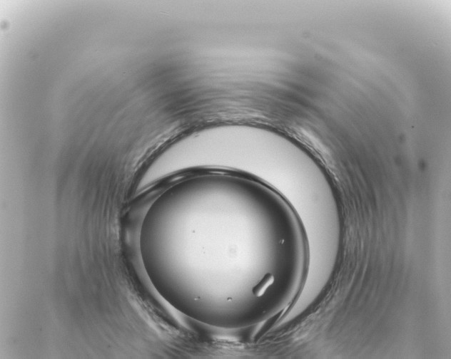 X0000088430405200705291530