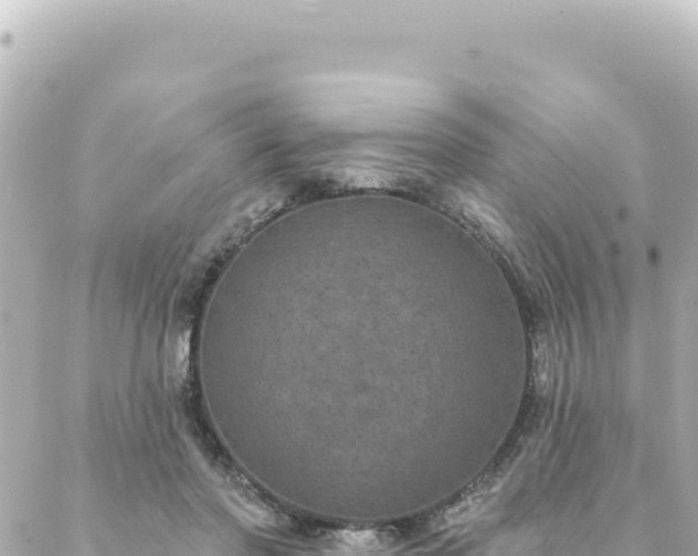 X0000088430406200705291530