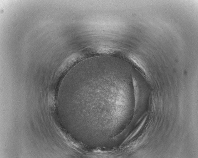 X0000088430407200705291530