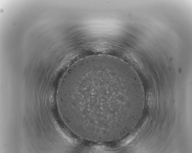 X0000088430408200705291530