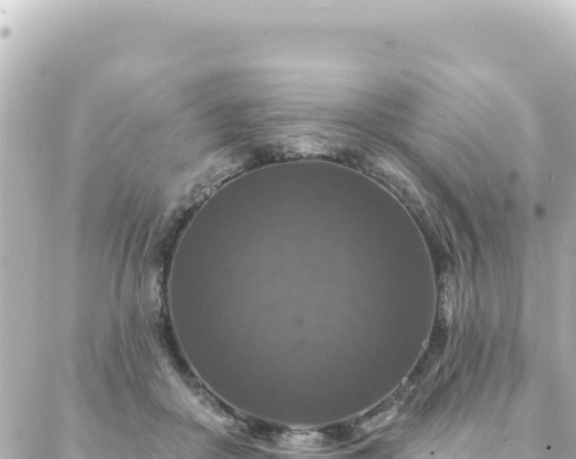 X0000088430410200705291530