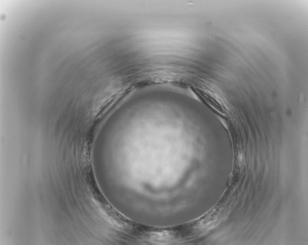 X0000088430411200705291530