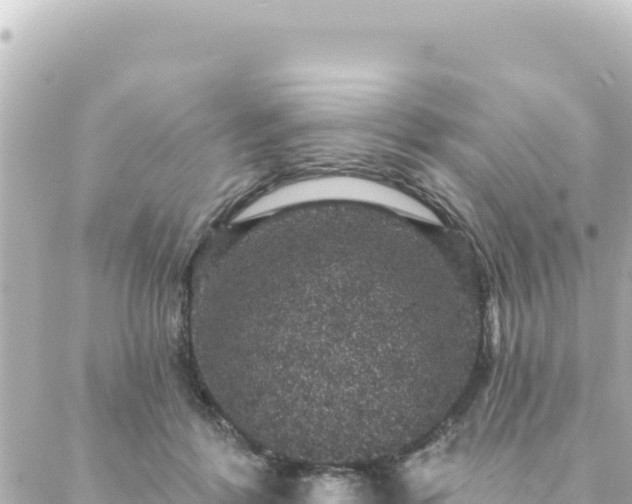 X0000088430412200705291530