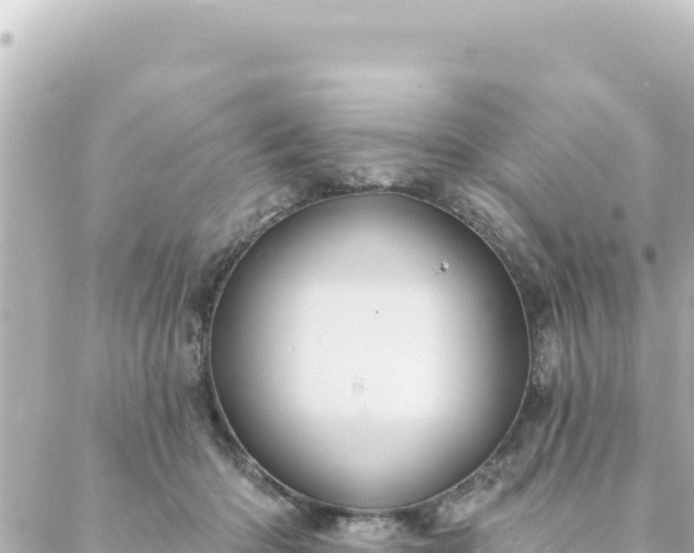 X0000088430414200705291530