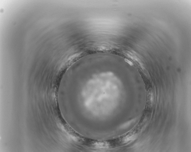 X0000088430415200705291530