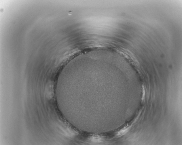 X0000088430416200705291530