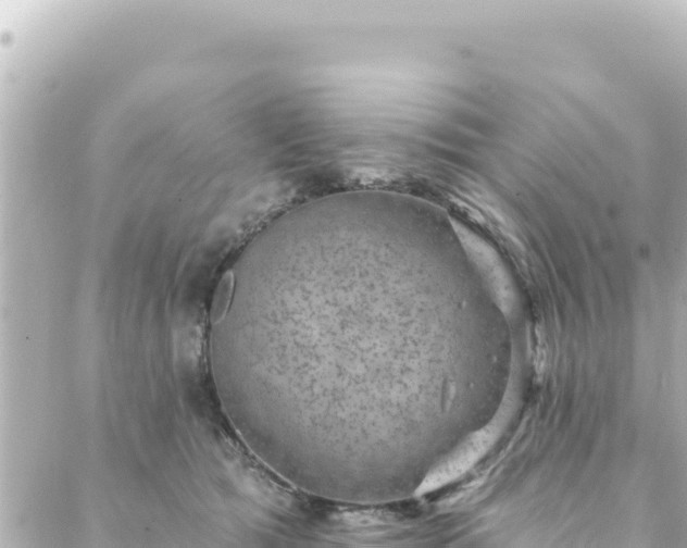 X0000088430417200705291530