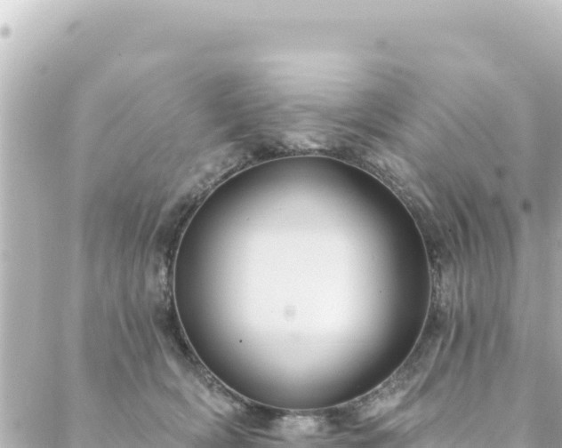 X0000088430418200705291530