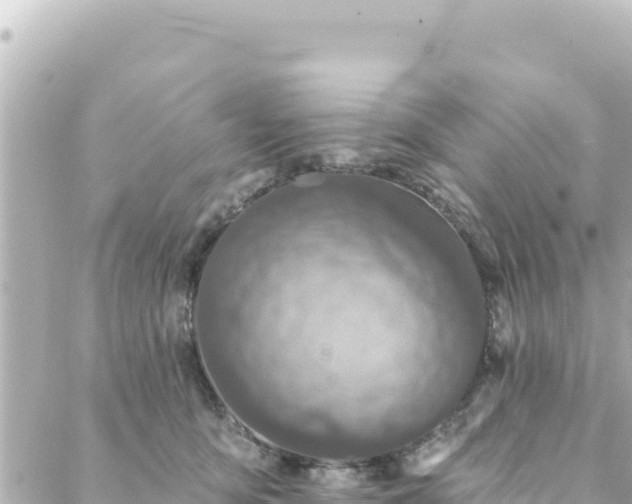 X0000088430419200705291530