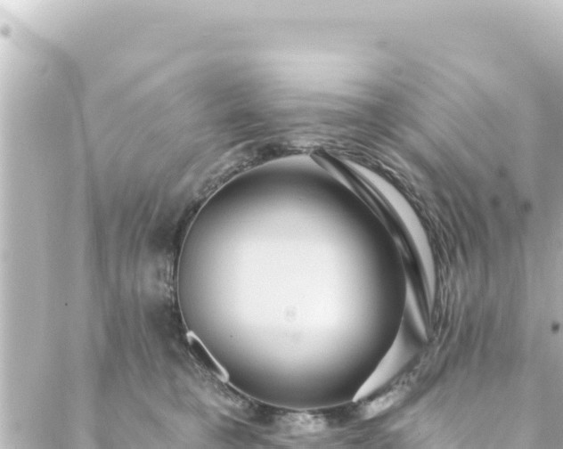 X0000088430421200705291530