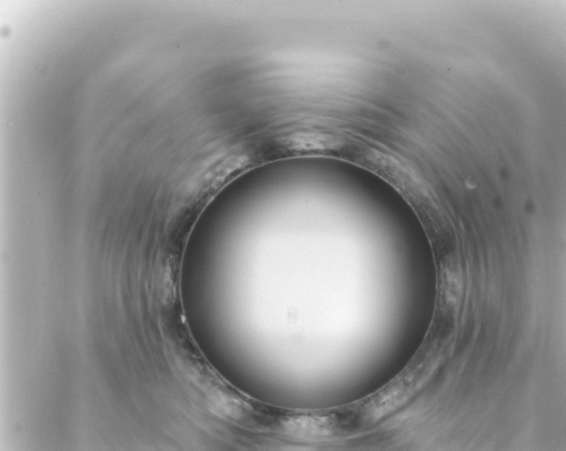 X0000088430422200705291530