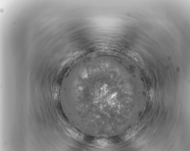 X0000088430423200705291530