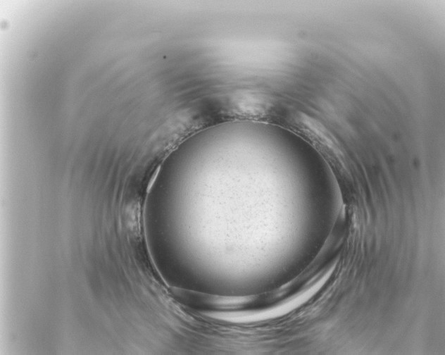 X0000088430425200705291530