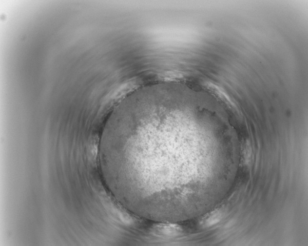 X0000088430427200705291530